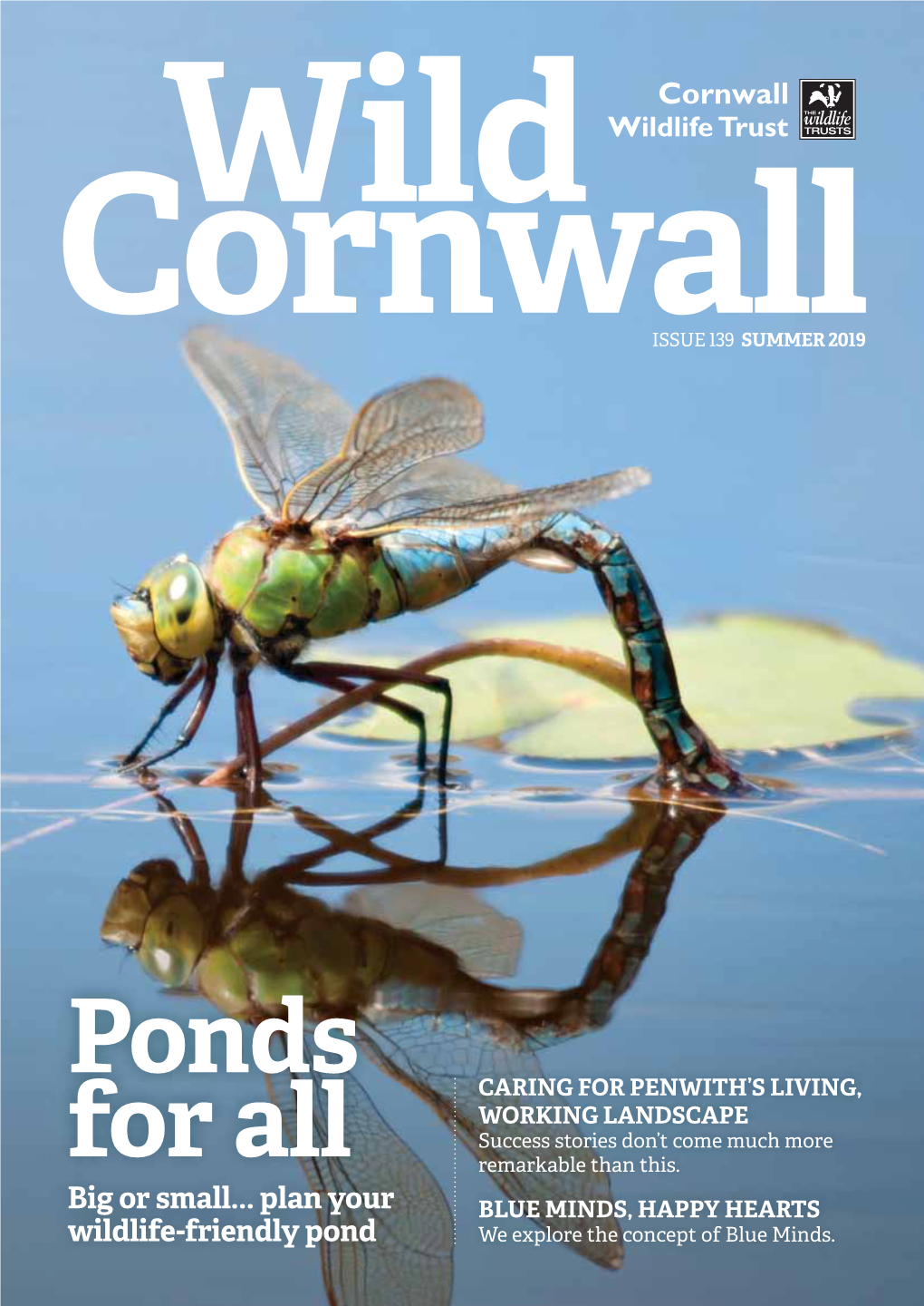 Wild Cornwall, Which Organisations, Like Cornwall Council, Are Declaring Climate Is Full of Feature Articles, Wildlife and Conservation News Emergencies