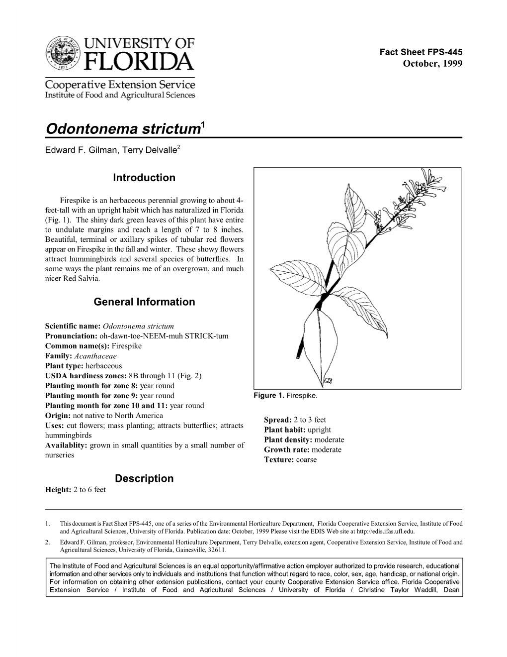 Odontonema Strictum1