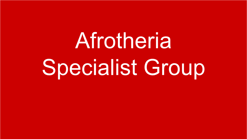 Afrotheria Slide Show