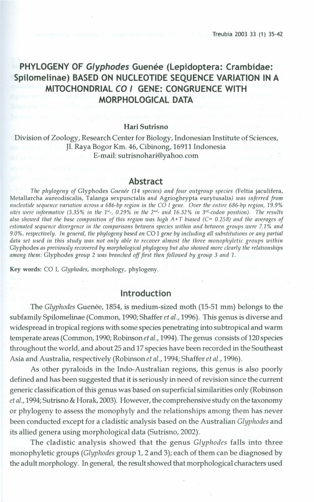 PHYLOGENY of Glyphodes Guenee (Lepidoptera: Crambidae