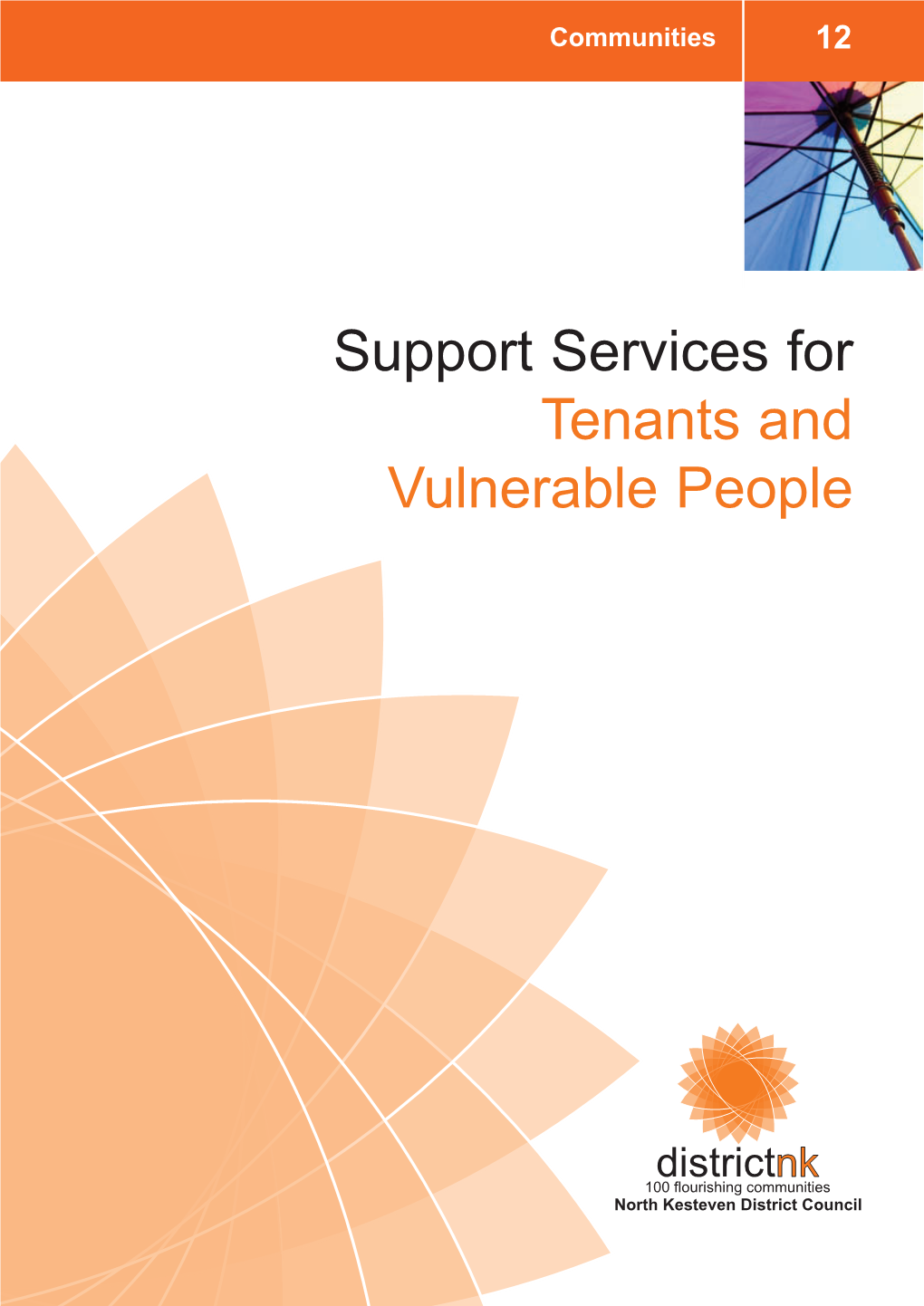 Support Services for Tenants and Vulnerable People