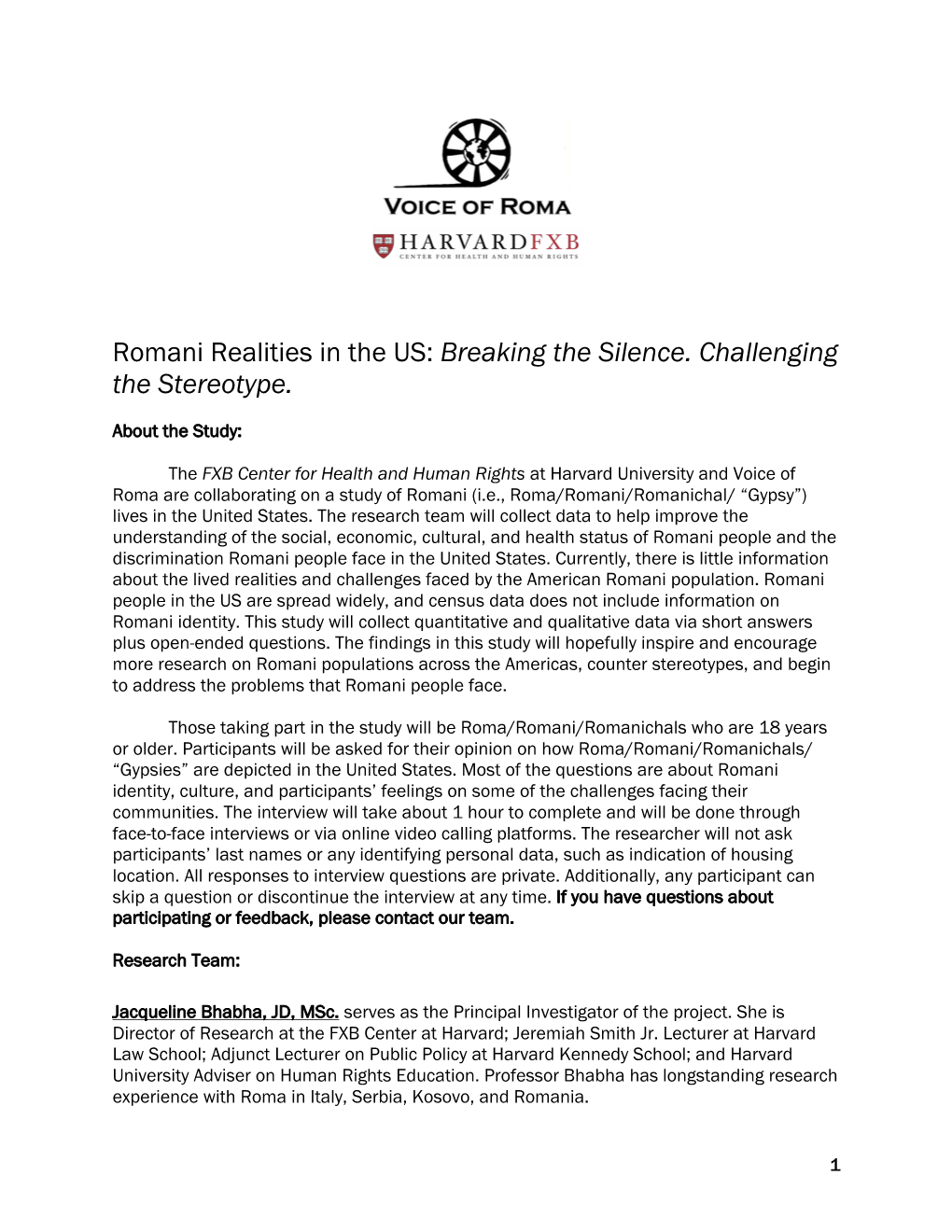 Romani Realities in the US: Breaking the Silence