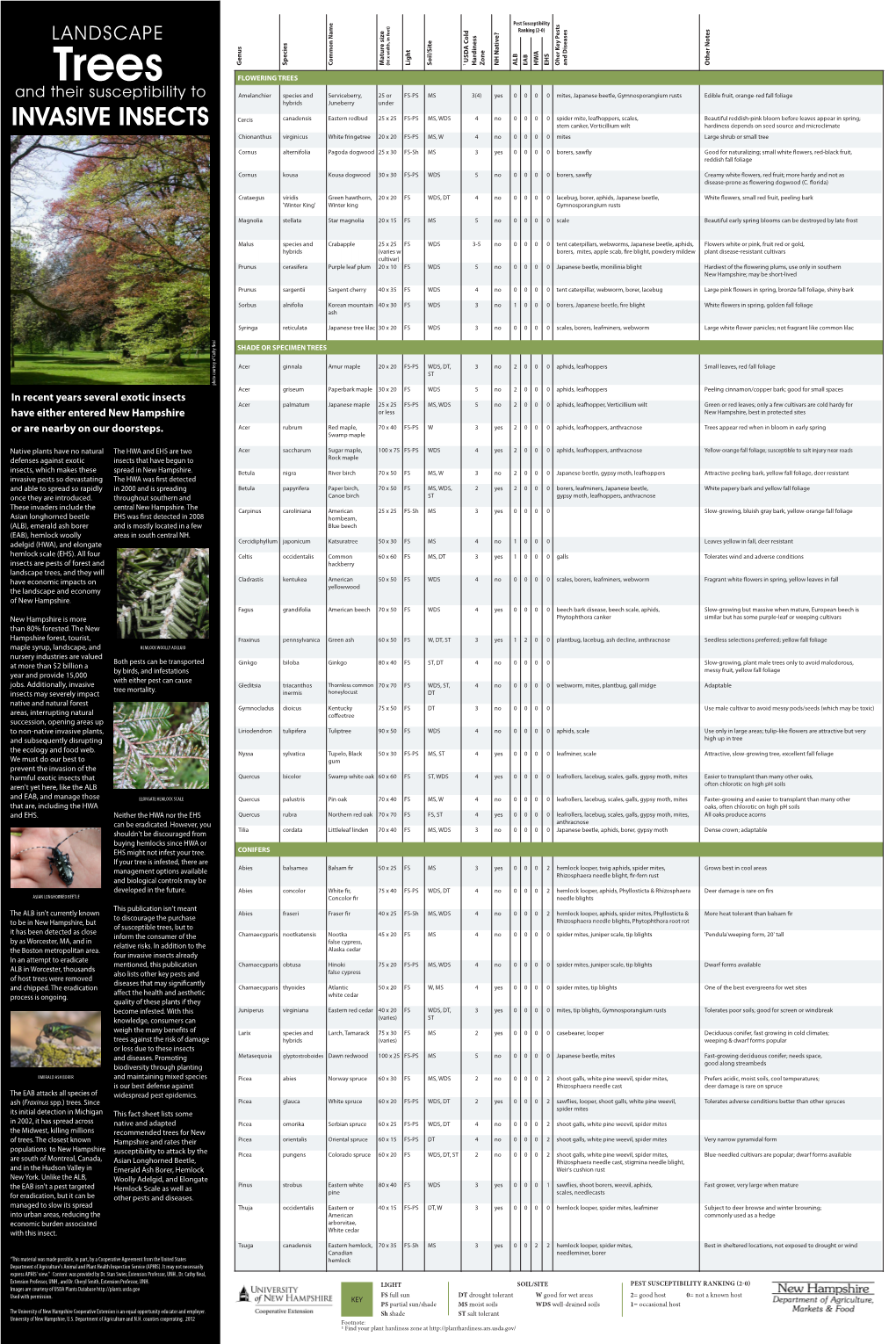 Landscape Trees and Their Susceptibility to Invasive Insects