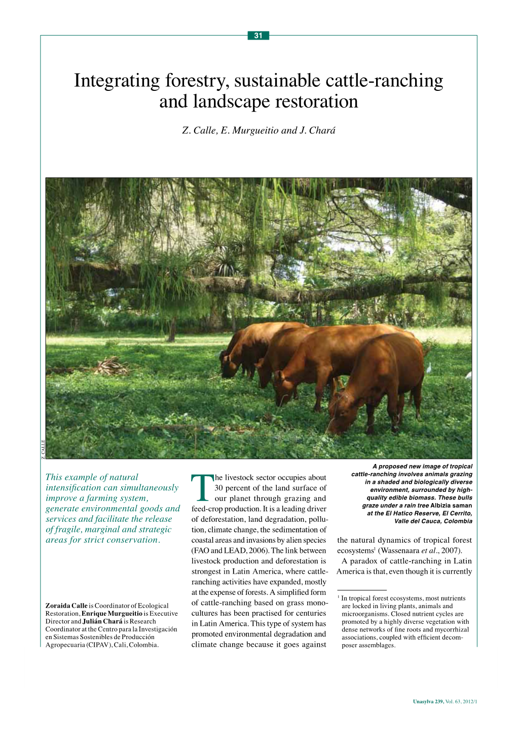 Integrating Forestry, Sustainable Cattle-Ranching and Landscape Restoration