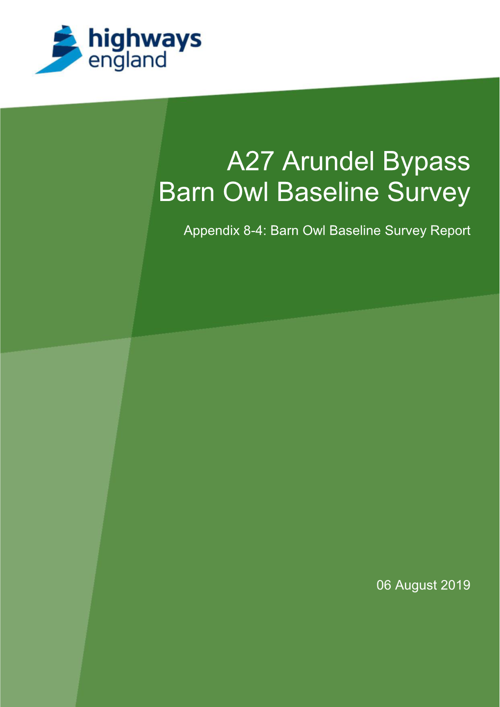 A27 Arundel Bypass Barn Owl Baseline Survey