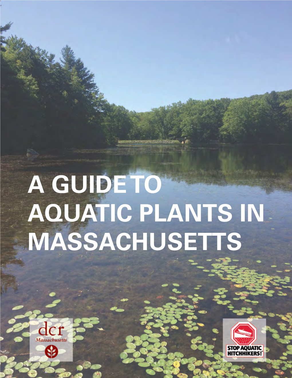 DCR Guide to Aquatic Plants in Massachusetts