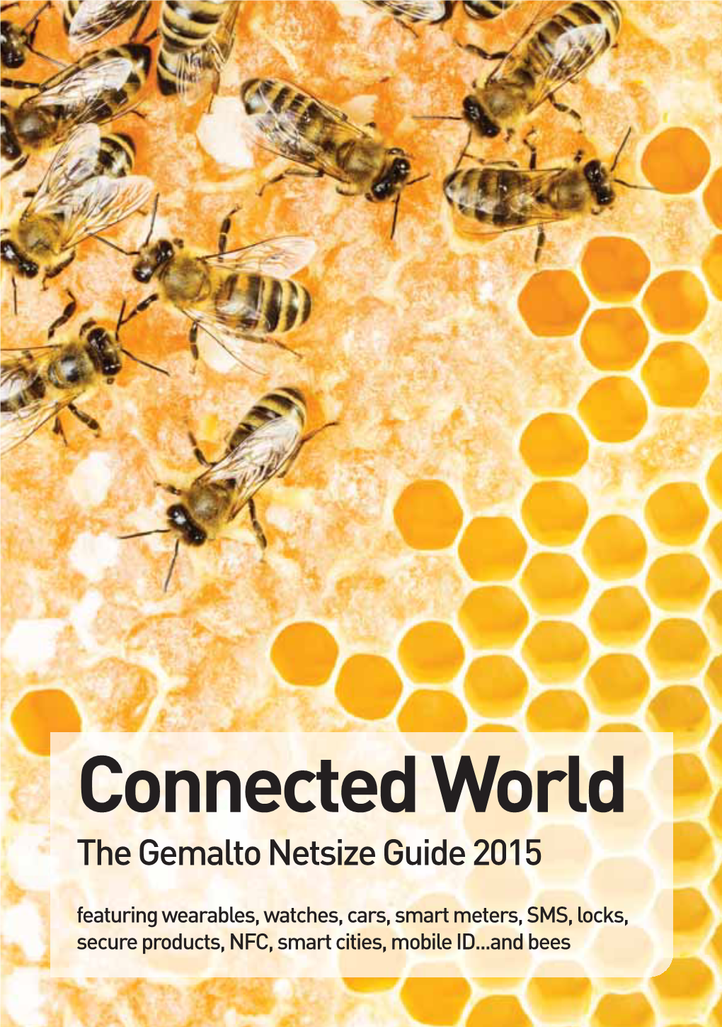 Connected World the Gemalto Netsize Guide 2015
