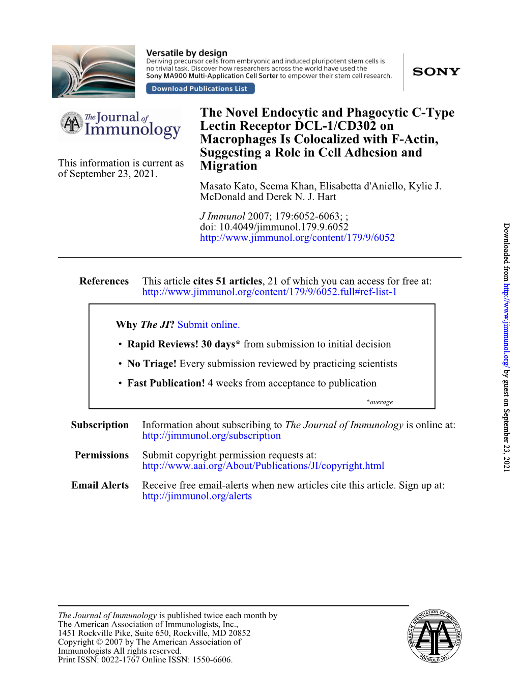 Migration Suggesting a Role in Cell Adhesion and Macrophages Is