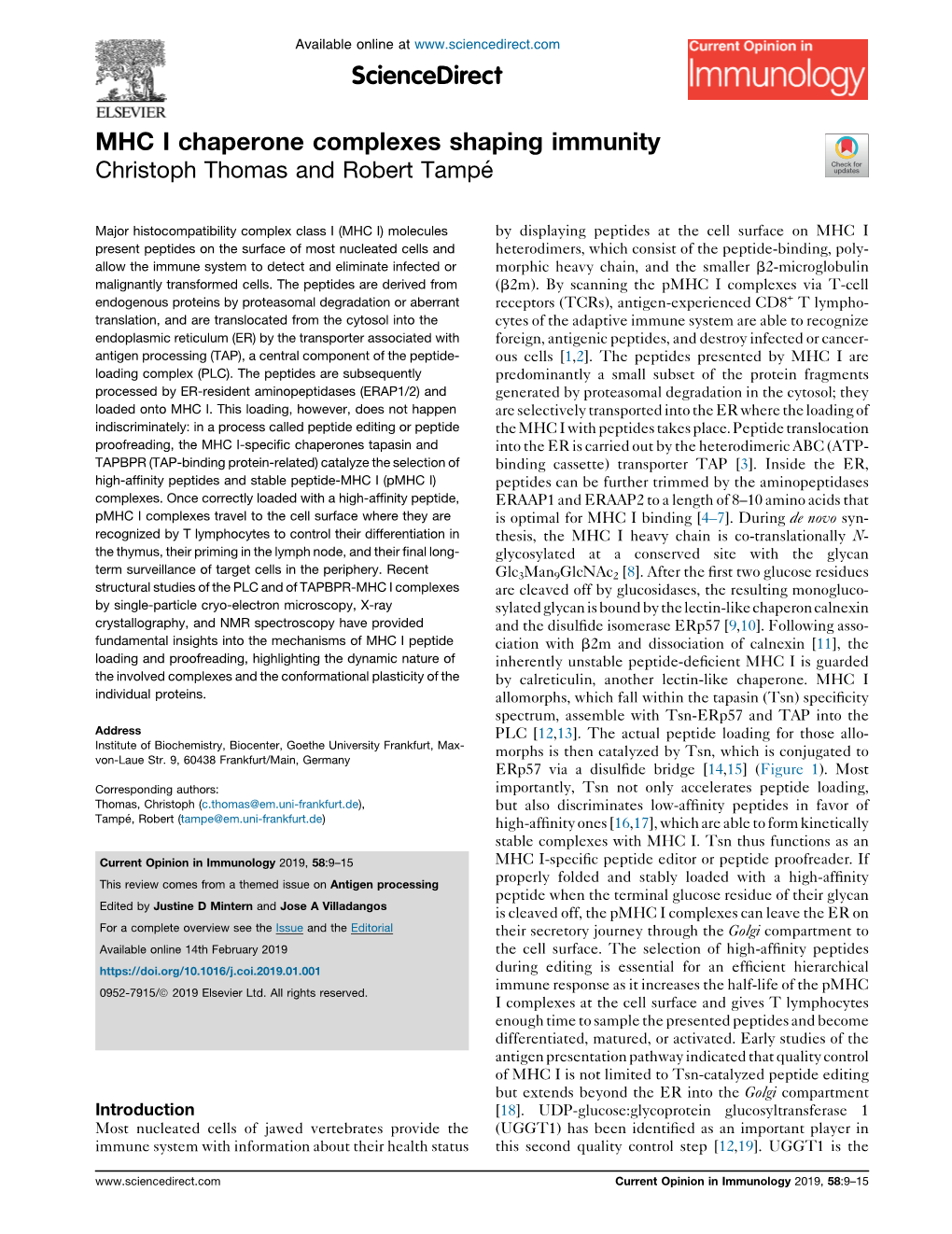 MHC I Chaperone Complexes Shaping Immunity