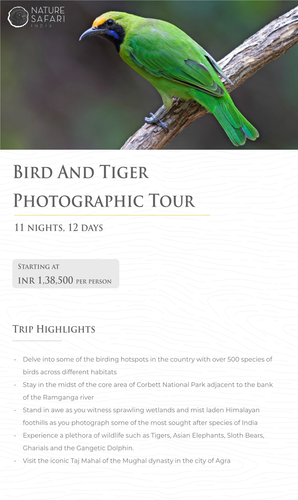 Bird and Tiger Photographic Tour