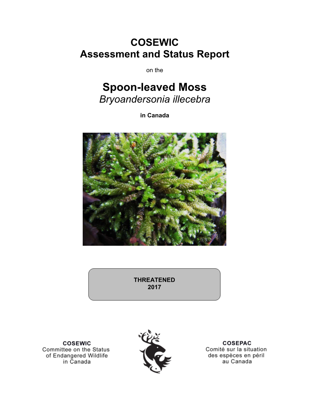 Spoon-Leaved Moss, Bryoandersonia Illecebra Ecosystem Scientific Name Element ID Elcode