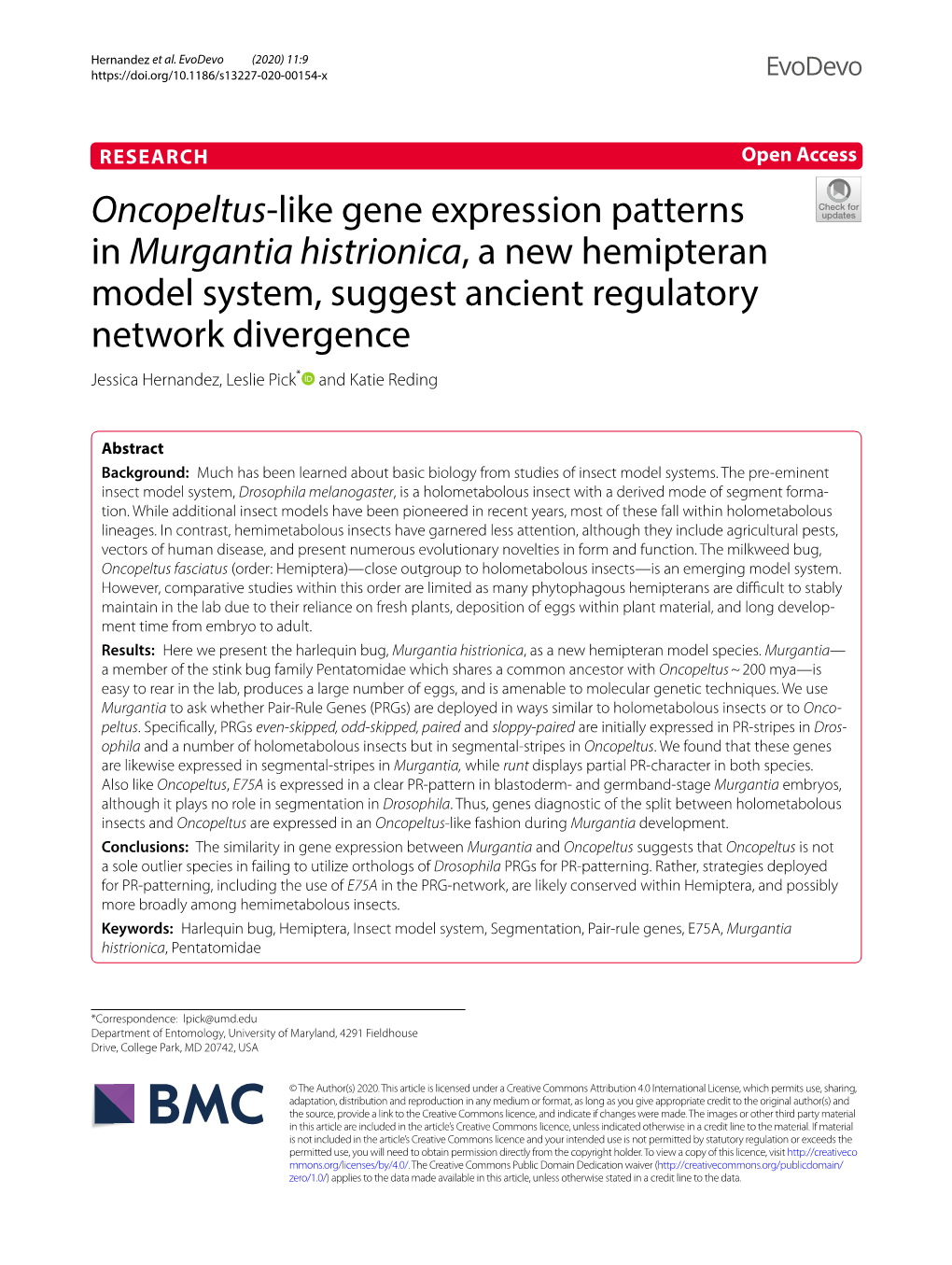 Murgantia Histrionica, a New Hemipteran Model System, Suggest Ancient Regulatory Network Divergence Jessica Hernandez, Leslie Pick* and Katie Reding