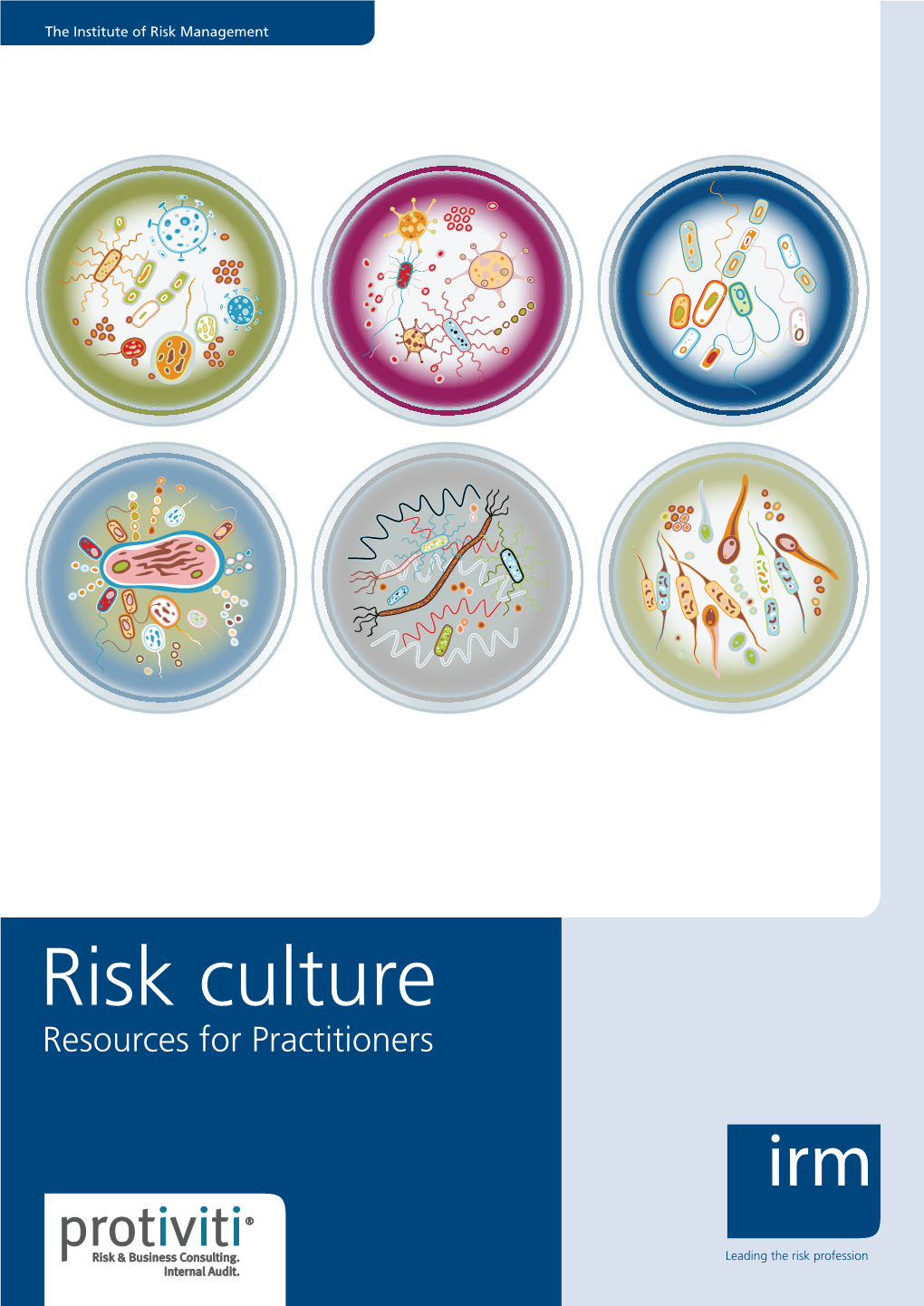 Risk Culture Resources for Practitioners the Institute of Risk Management (IRM) Is the World’S Leading Enterprise-Wide Risk Management Education Institute