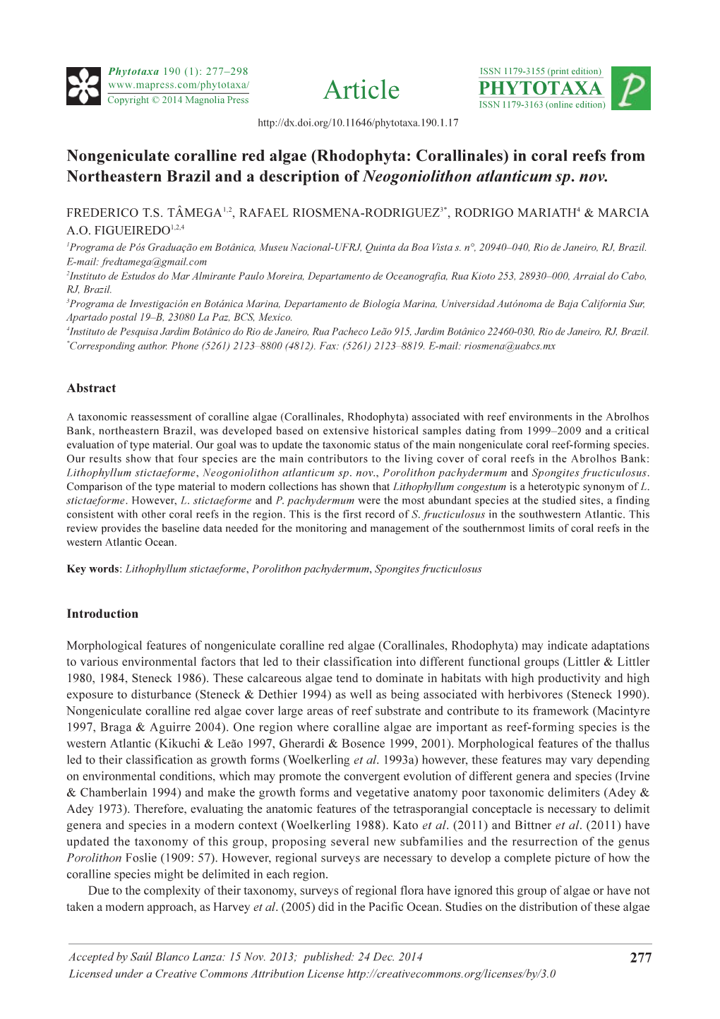 Nongeniculate Coralline Red Algae (Rhodophyta: Corallinales) in Coral Reefs from Northeastern Brazil and a Description of Neogoniolithon Atlanticum Sp