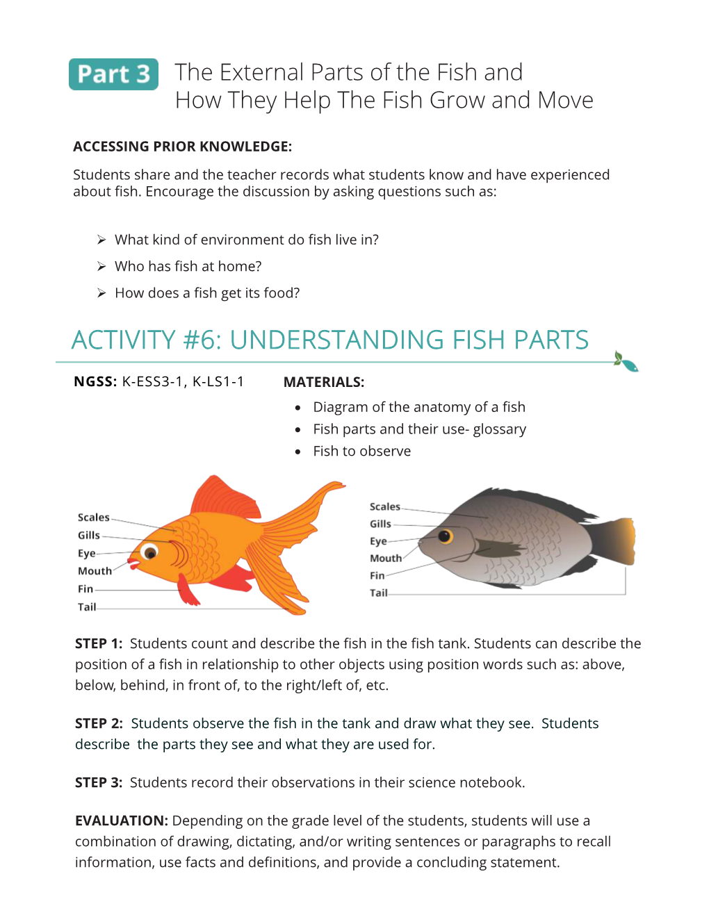 Understanding Fish Parts