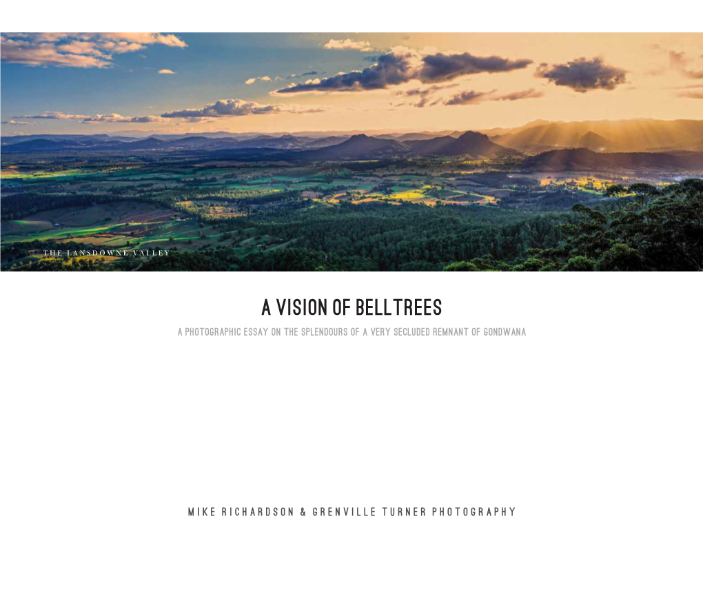 A Vision of Belltrees