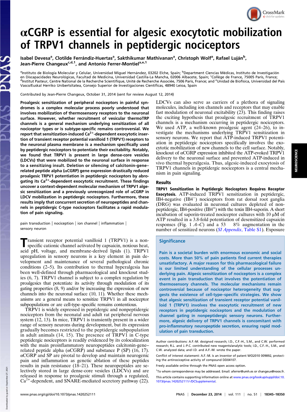 Αcgrp Is Essential for Algesic Exocytotic Mobilization of TRPV1 Channels in Peptidergic Nociceptors