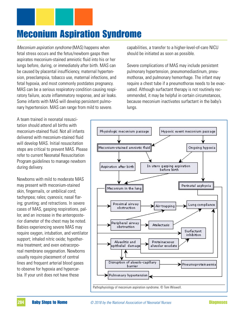 Meconium Aspiration Syndrome