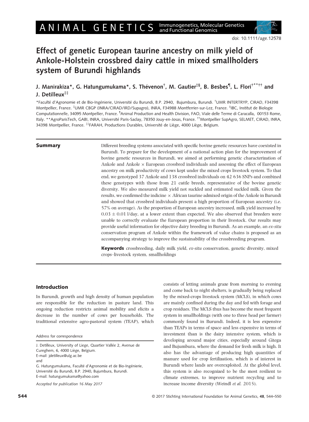 Effect of Genetic European Taurine Ancestry on Milk Yield of Ankole-Holstein Crossbred Dairy Cattle in Mixed Smallholders System of Burundi Highlands