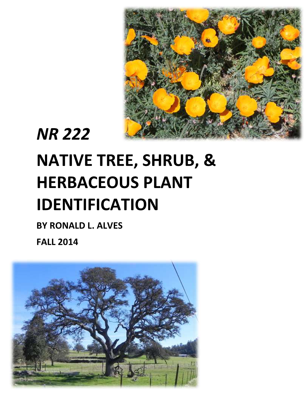 Nr 222 Native Tree, Shrub, & Herbaceous Plant