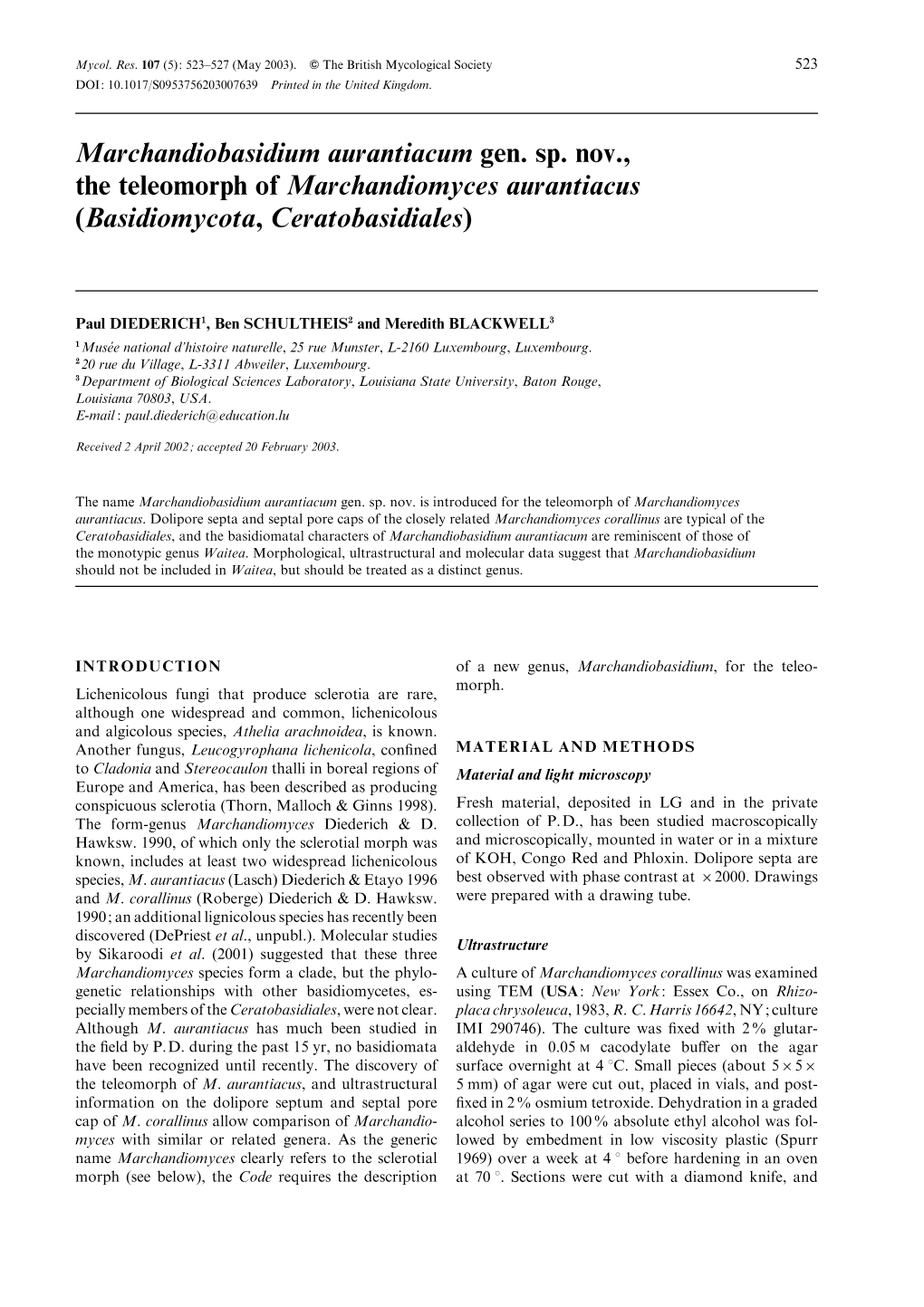 Marchandiobasidium Aurantiacum Gen. Sp. Nov., the Teleomorph of Marchandiomyces Aurantiacus (Basidiomycota, Ceratobasidiales)