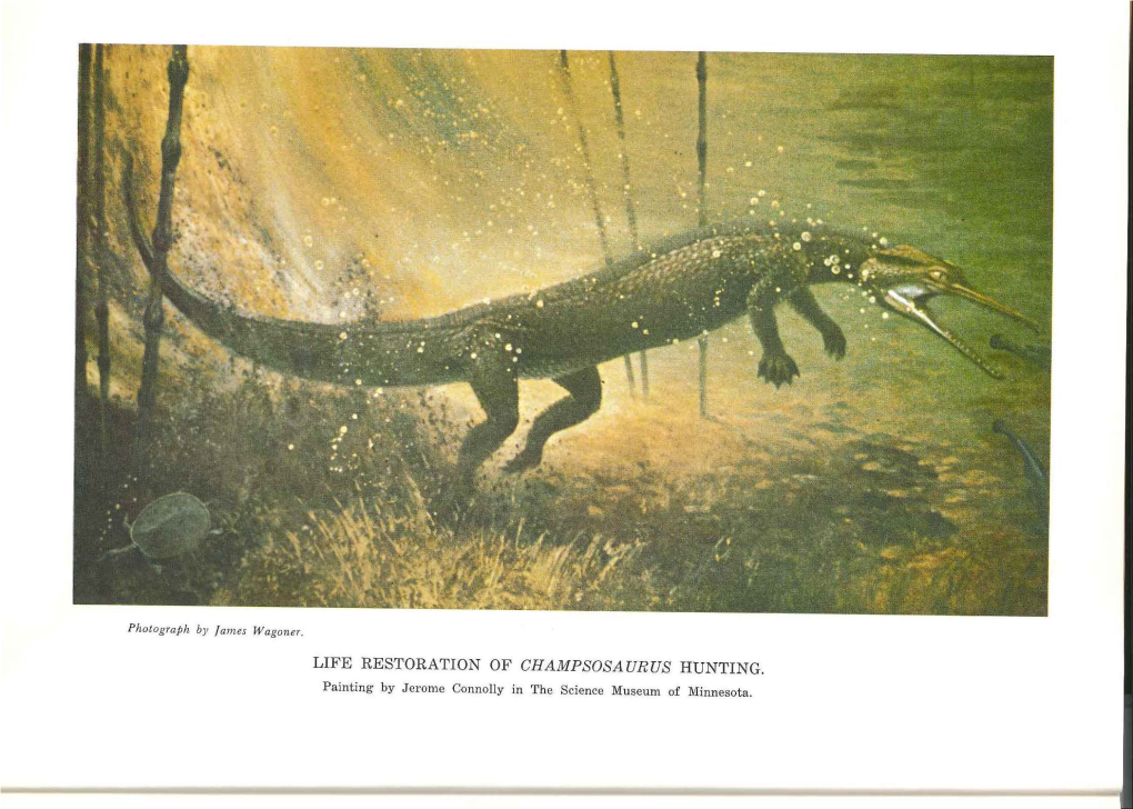 The Lepidosaurian Reptile Champsosaurus in North America