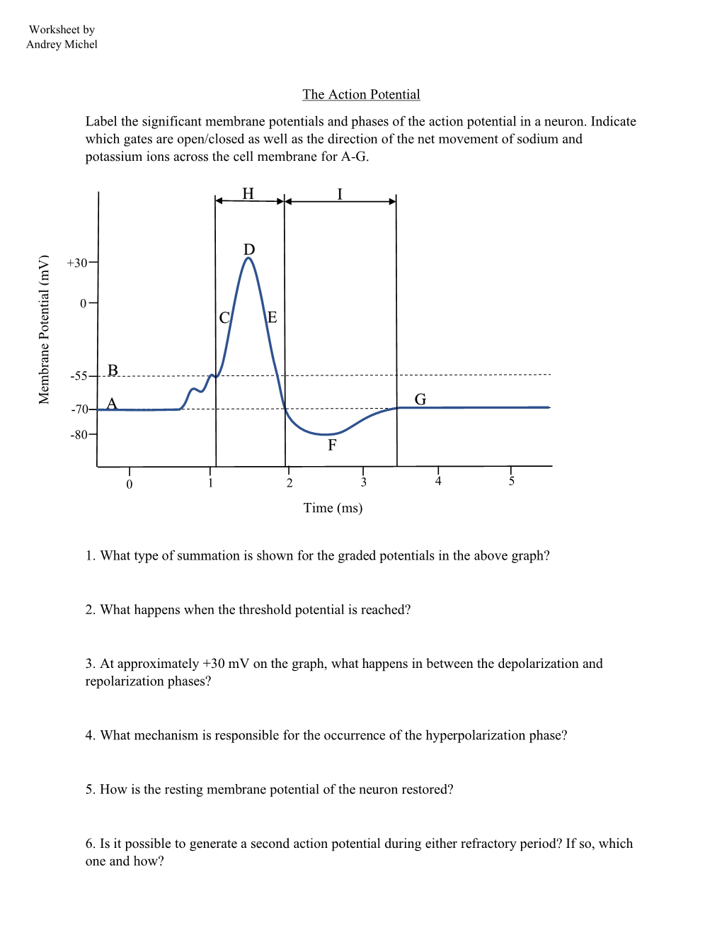 The Action Potential Label the Significant Membrane Potentials and Phases of the Action Potential in a Neuron