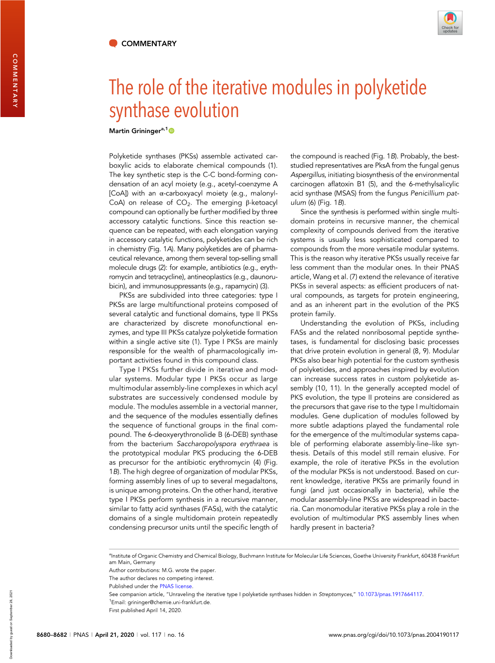 The Role of the Iterative Modules in Polyketide Synthase Evolution