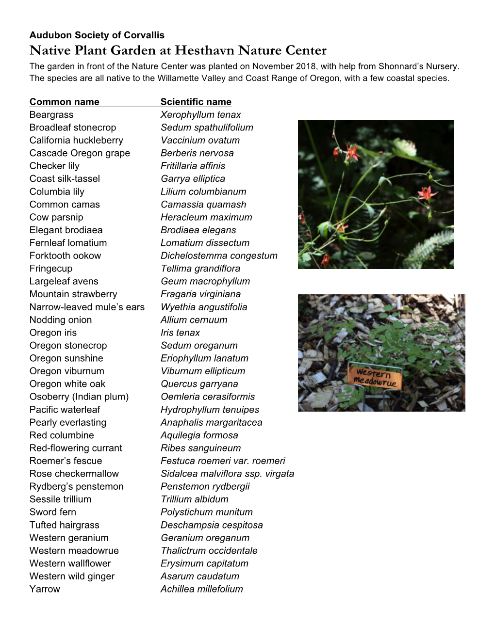 Native Garden Plant List