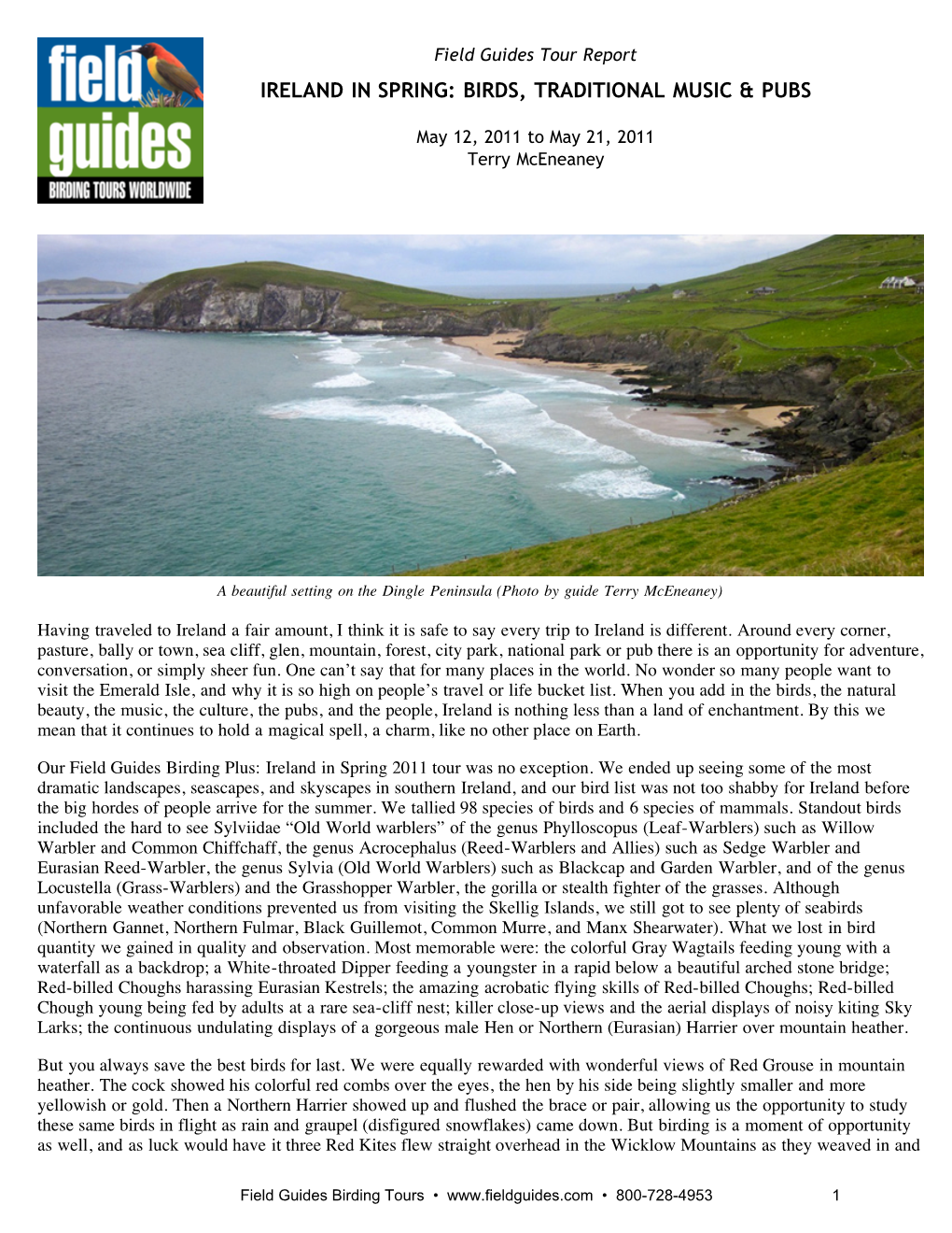 Field Guides Birding Tours: Ireland in Spring: Birds