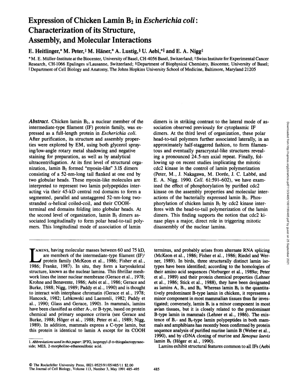 Expression of Chicken Lamin B2 in Escherichia Coli: Characterization of Its Structure, Assembly, and Molecular Interactions E