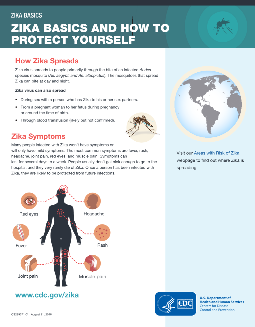 Zika Basics Zika Basics and How to Protect Yourself