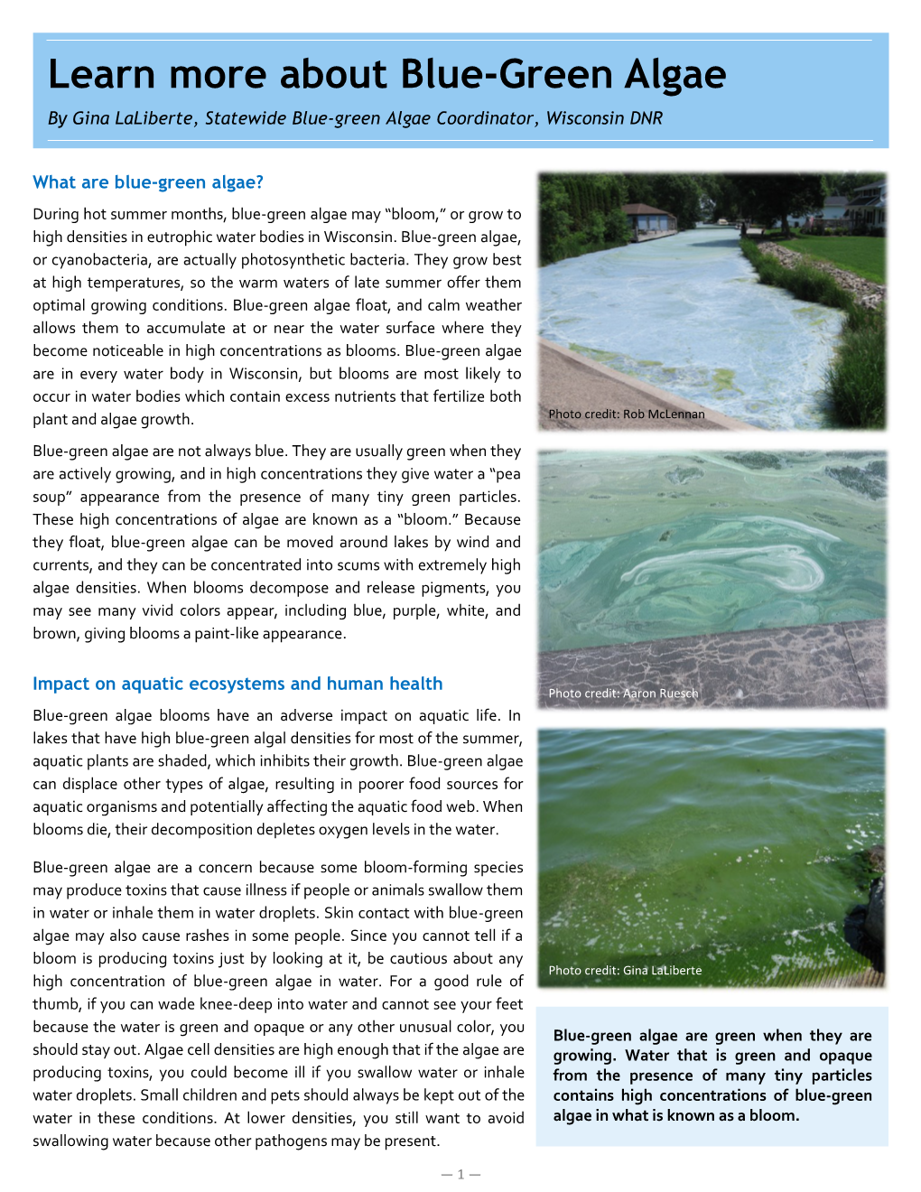 Learn More About Blue-Green Algae by Gina Laliberte, Statewide Blue-Green Algae Coordinator, Wisconsin DNR