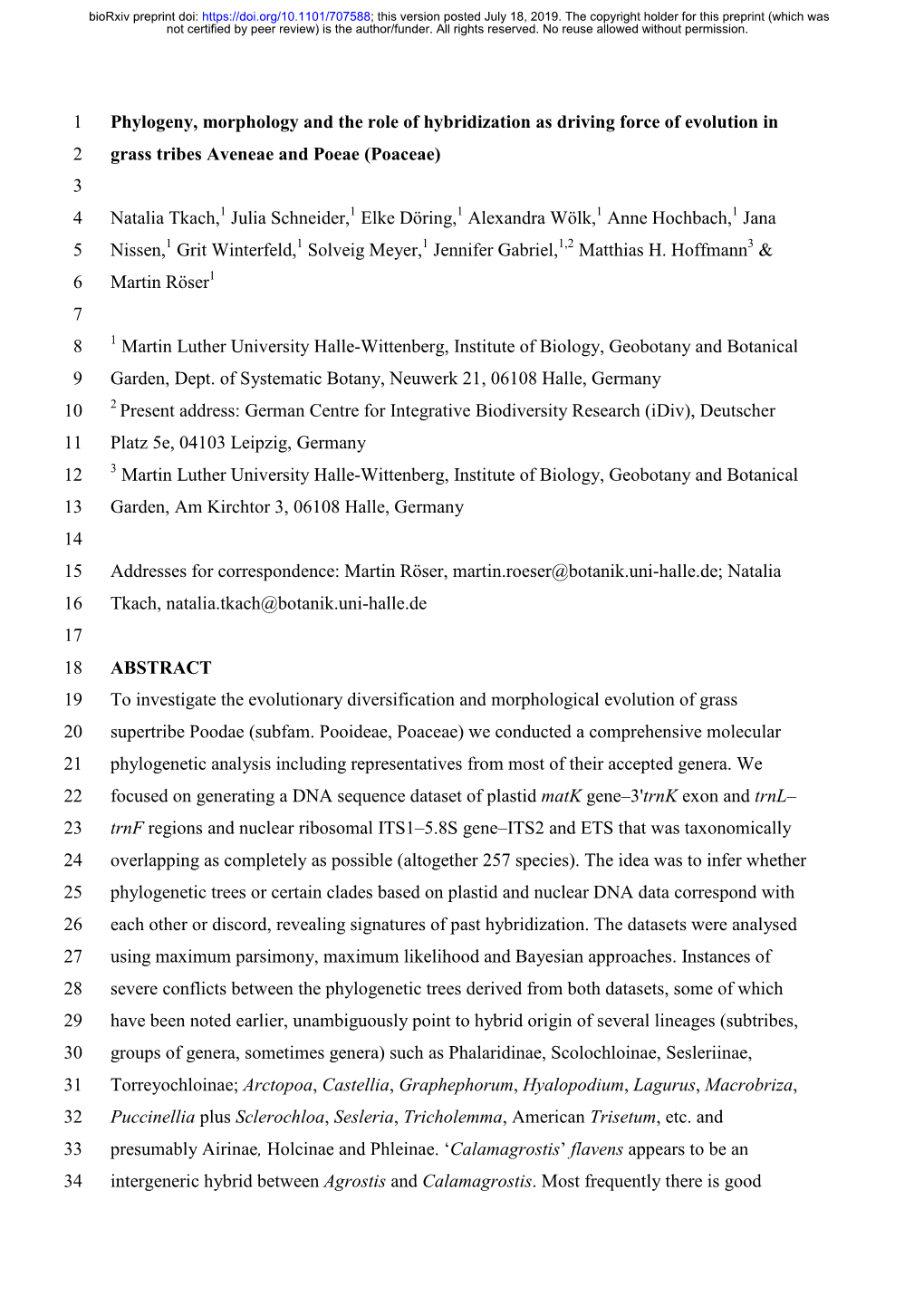 Phylogeny, Morphology and the Role of Hybridization As Driving Force Of