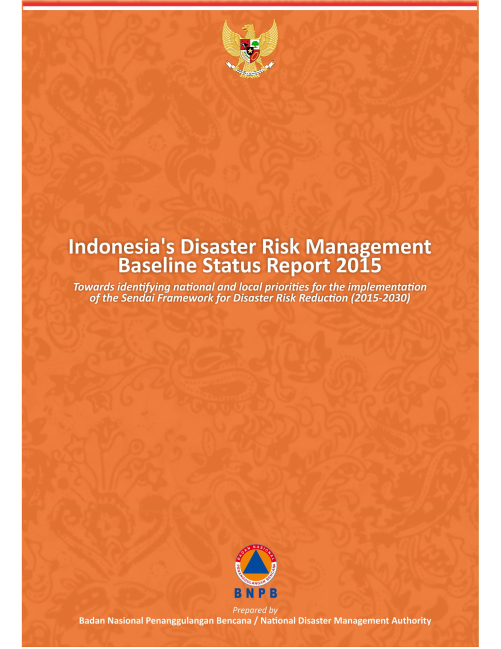 Indonesia's Disaster Risk Management