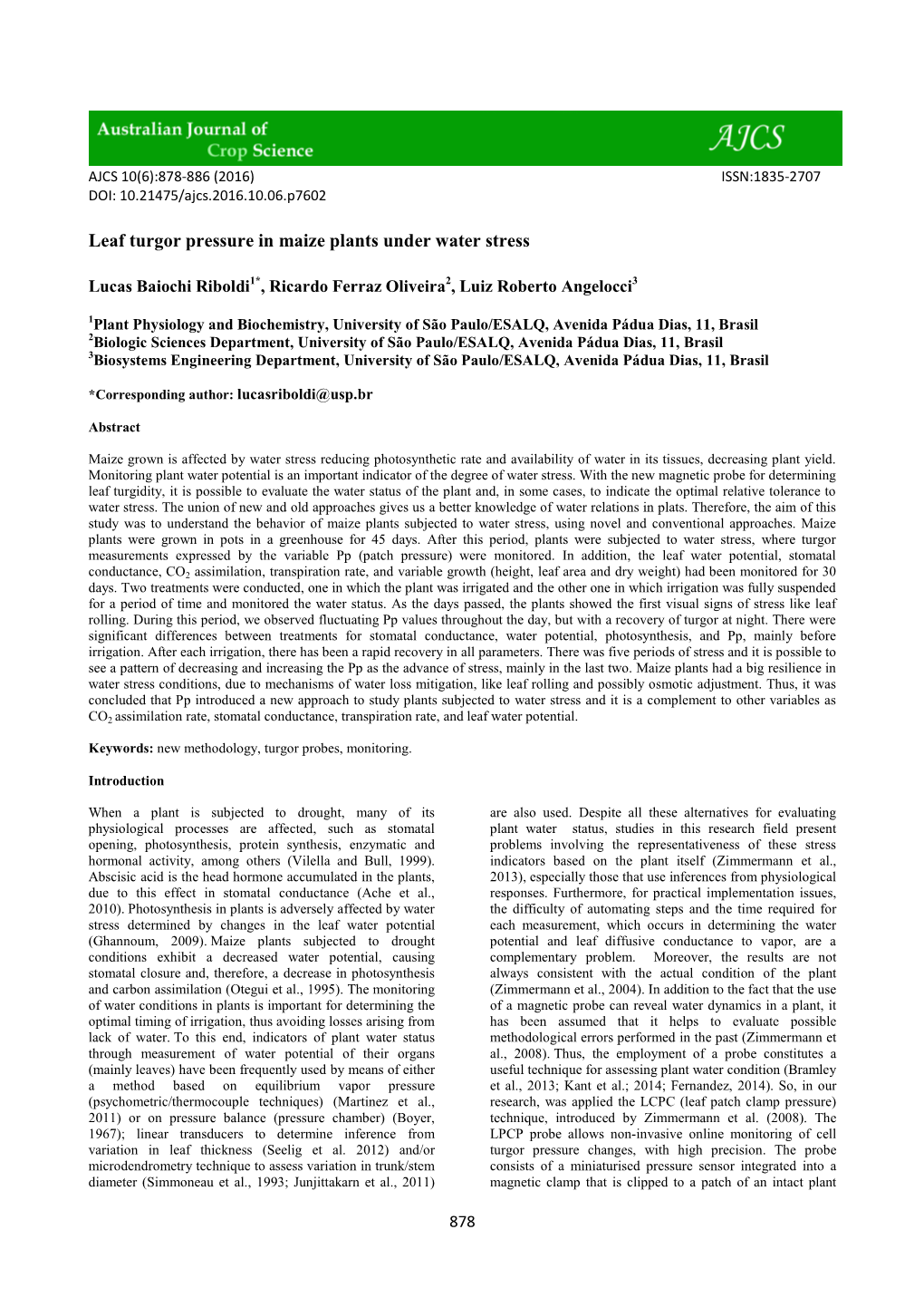 Leaf Turgor Pressure in Maize Plants Under Water Stress