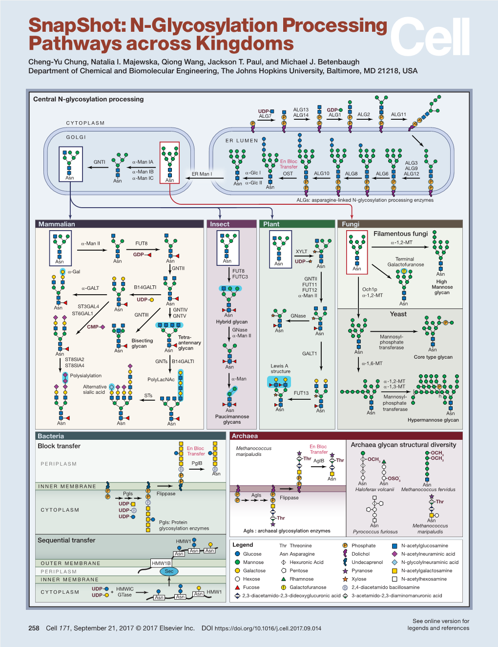 N-Glycosylation Processing Pathways Across Kingdoms Cheng-Yu Chung, Natalia I