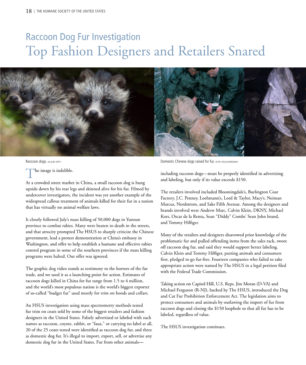 Raccoon Dog Fur Investigation Top Fashion Designers and Retailers Snared
