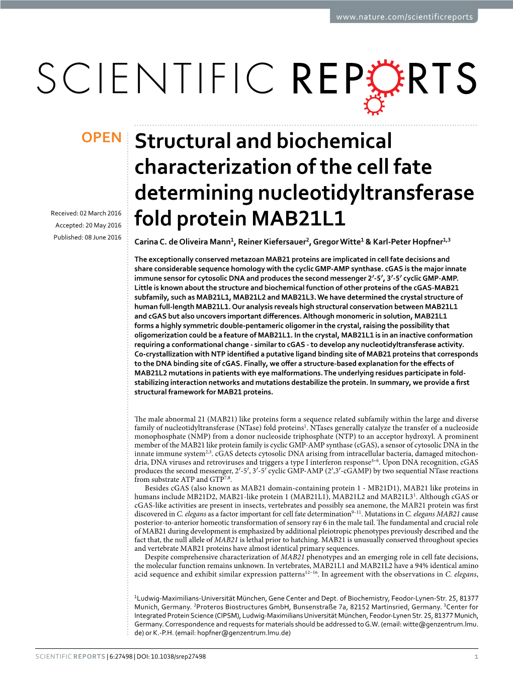 Structural and Biochemical Characterization of the Cell Fate