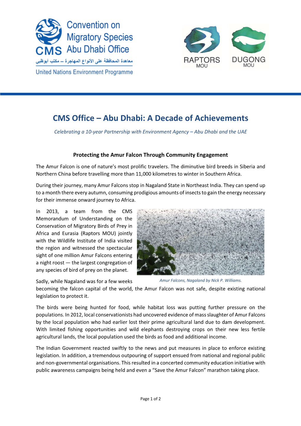 CMS Office – Abu Dhabi: a Decade of Achievements