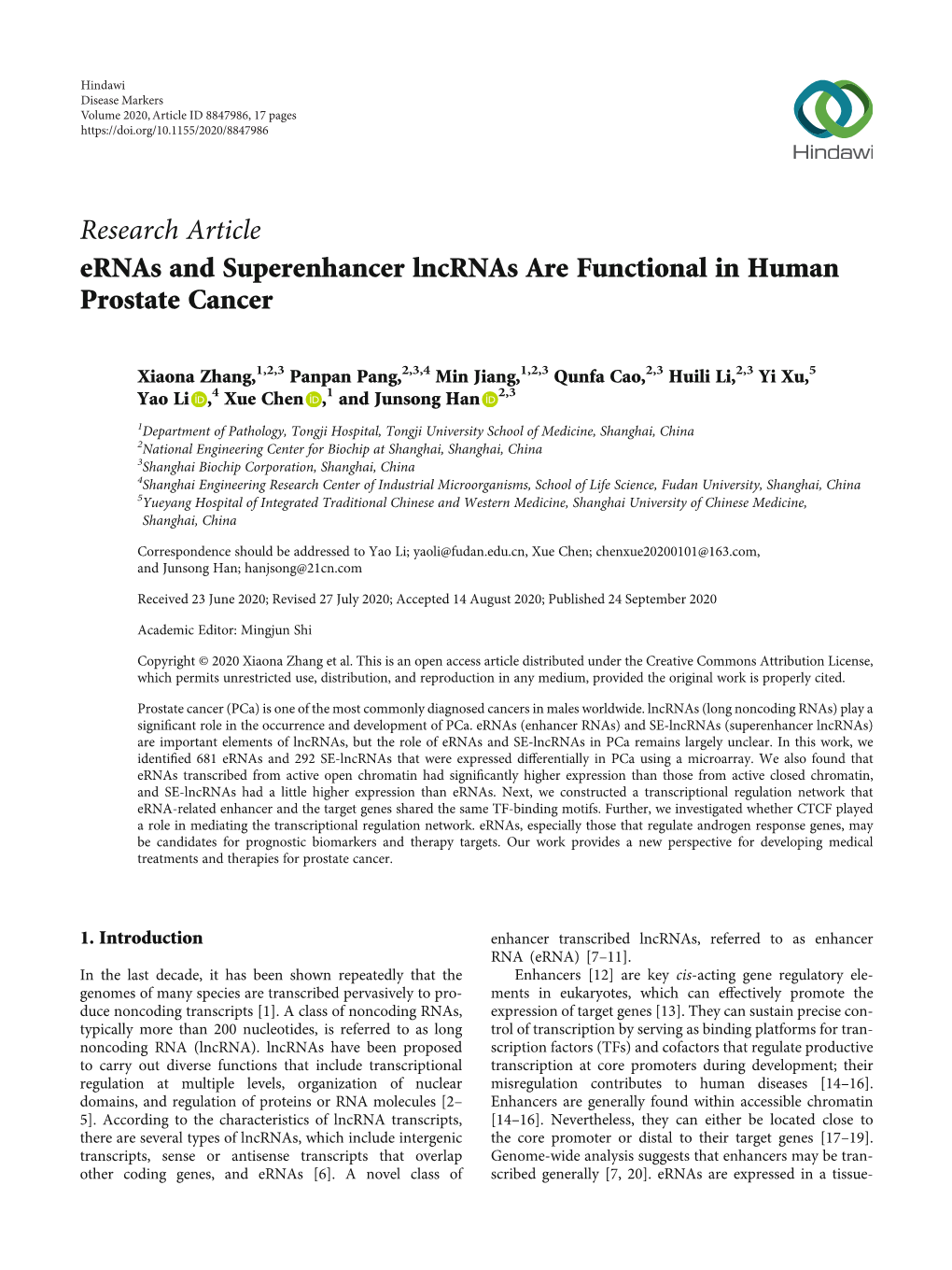 Ernas and Superenhancer Lncrnas Are Functional in Human Prostate Cancer