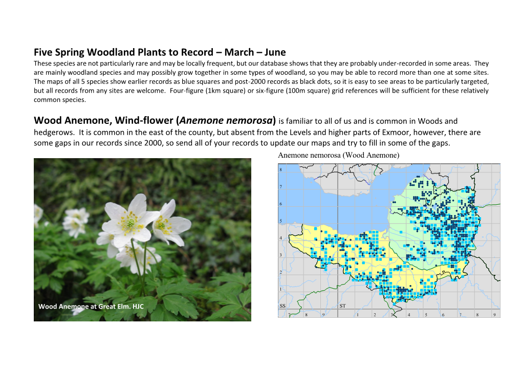 Five Spring Woodland Plants to Record
