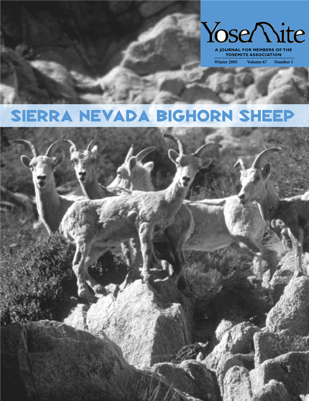 Sierra Nevada Bighorn Sheep a Message from the President