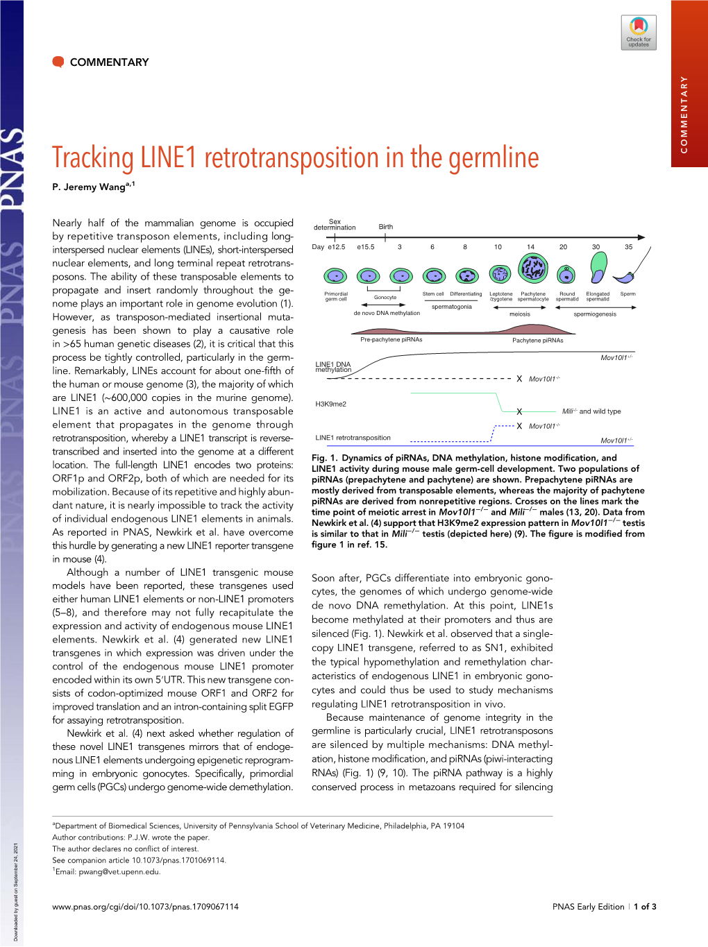 Tracking LINE1 Retrotransposition in the Germline COMMENTARY P