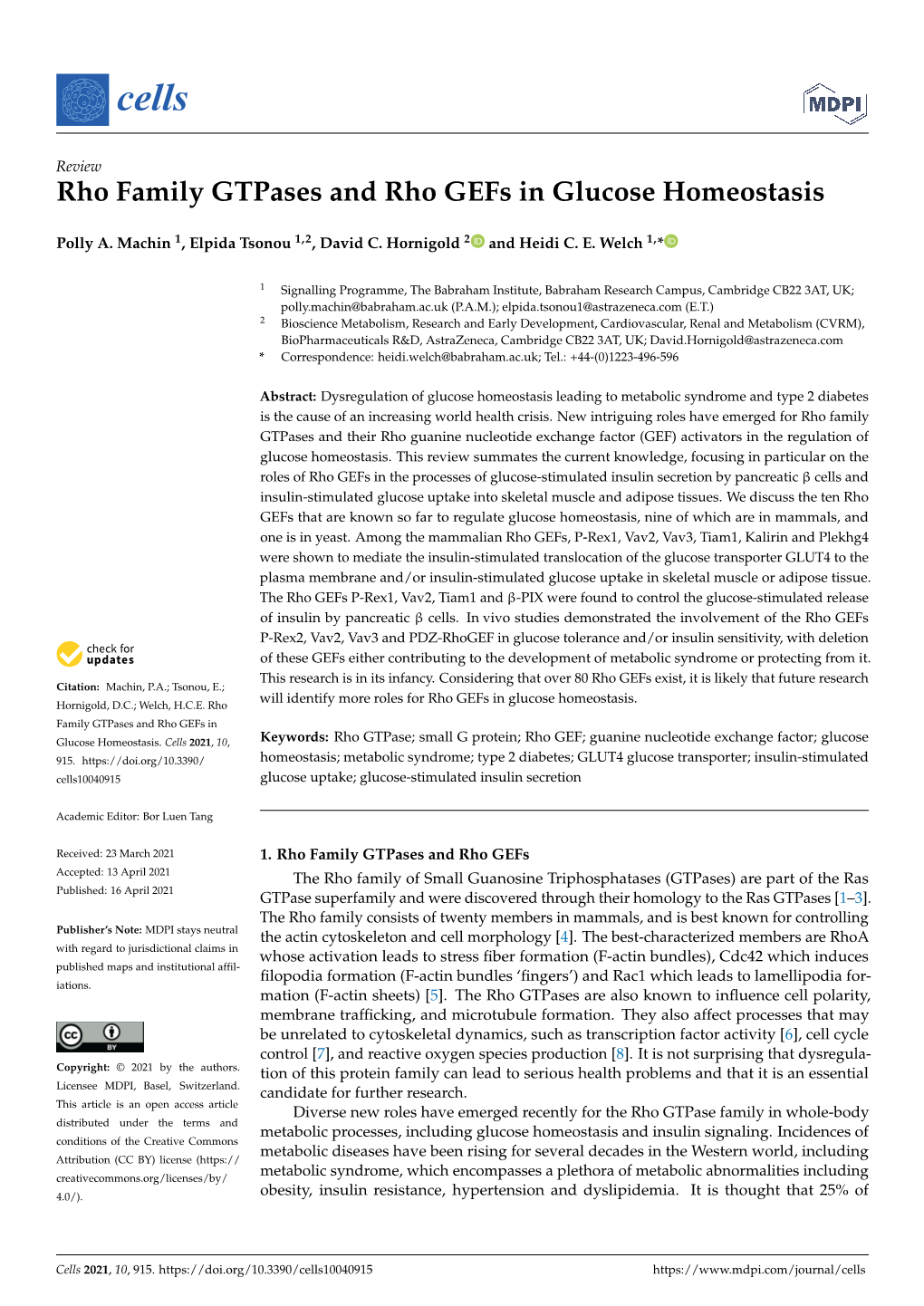 Rho Family Gtpases and Rho Gefs in Glucose Homeostasis