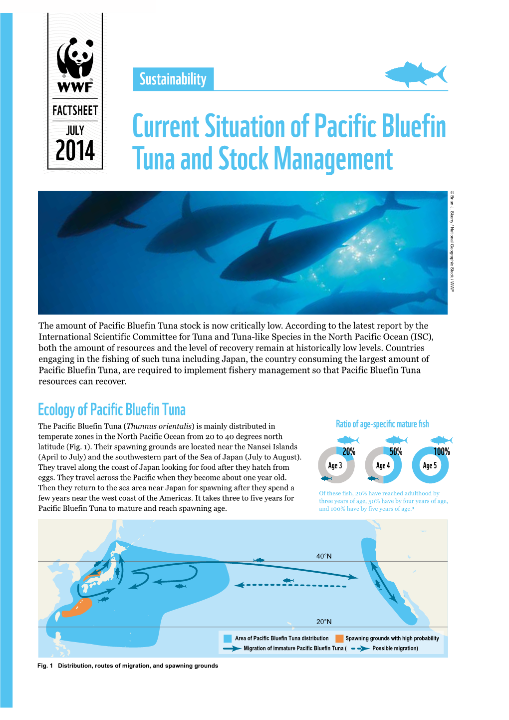 Current Situation of Pacific Bluefin Tuna and Stock Management