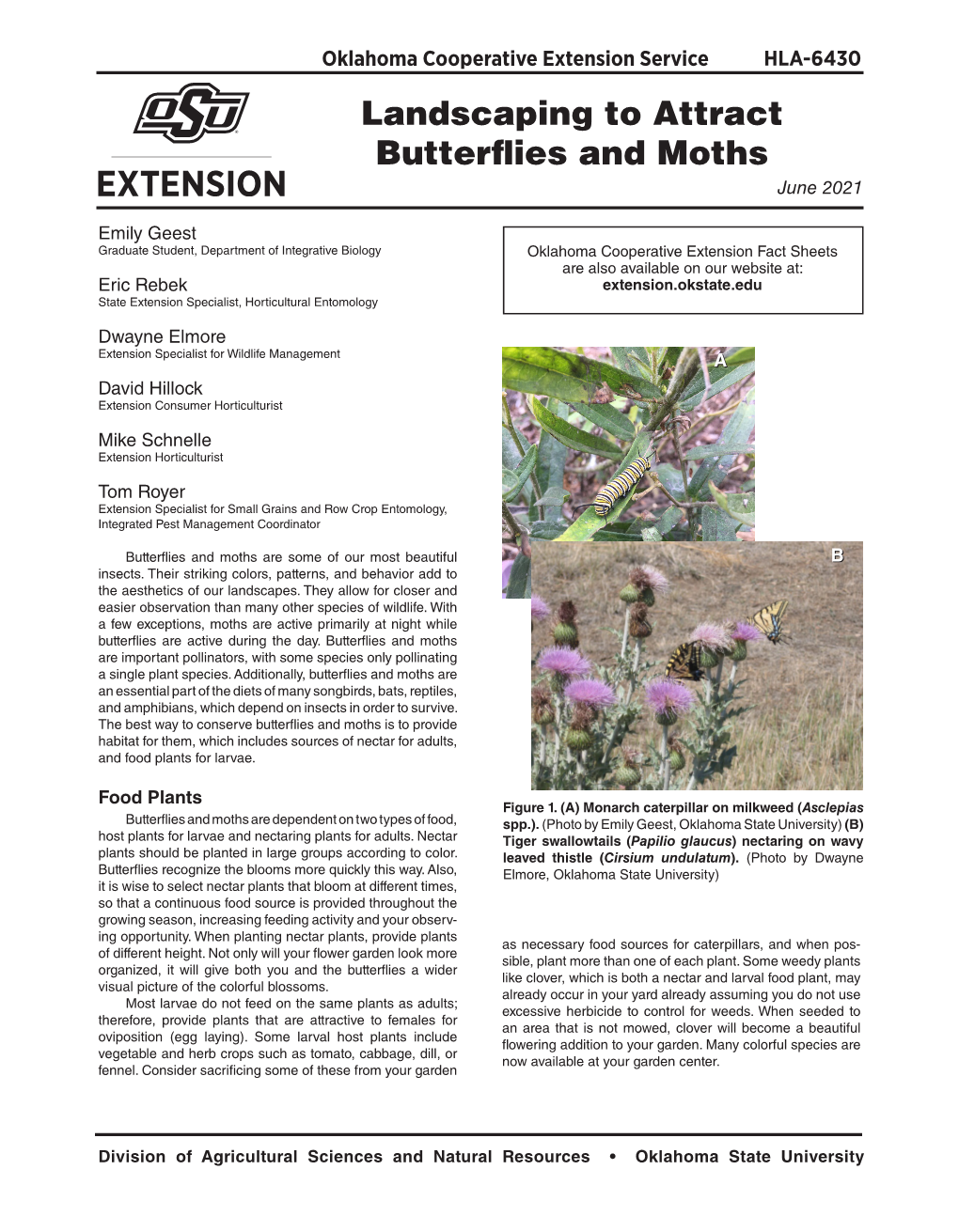 Landscaping to Attract Butterflies and Moths June 2021