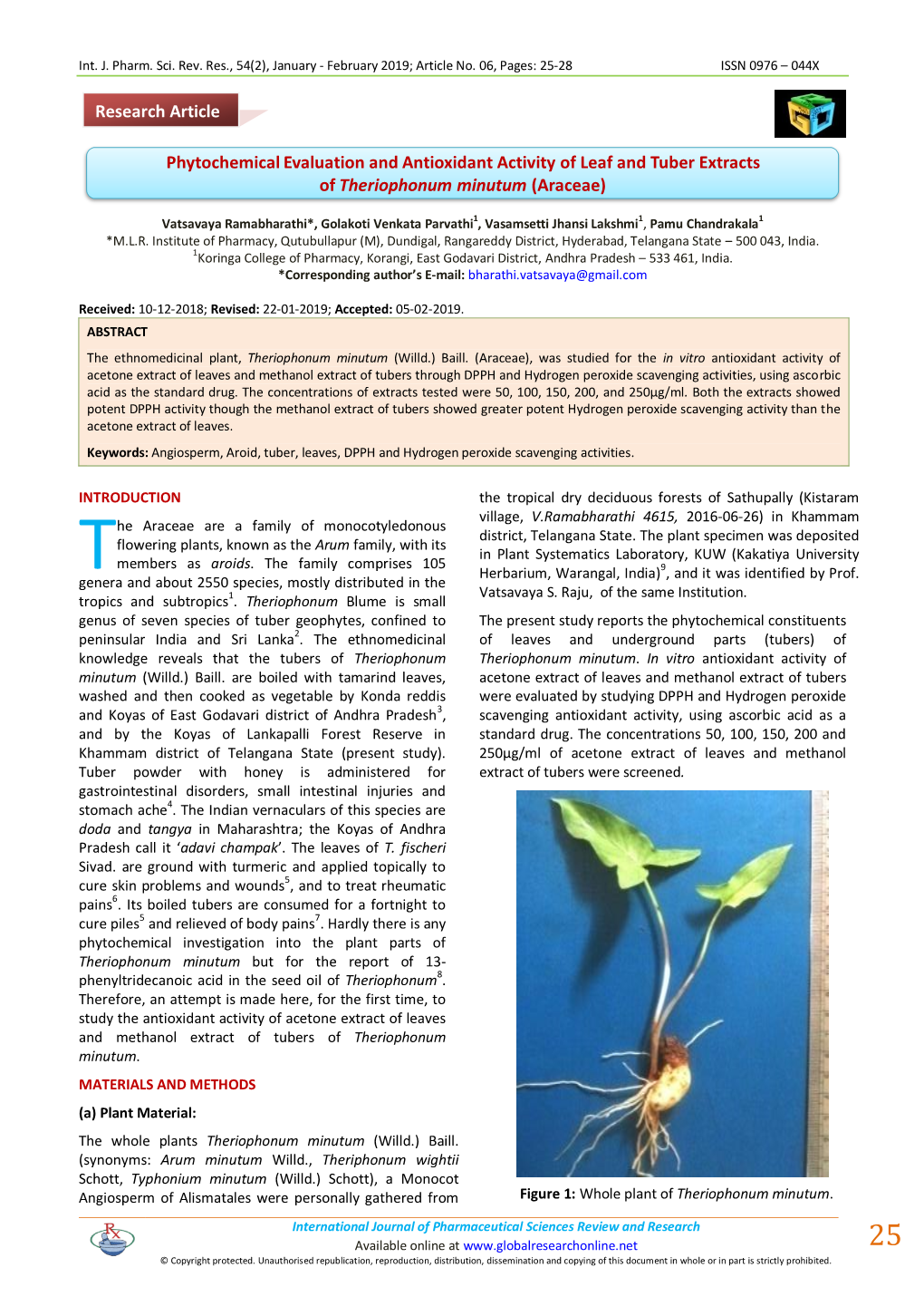 Phytochemical Evaluation and Antioxidant Activity of Leaf and Tuber Extracts of Theriophonum Minutum (Araceae)