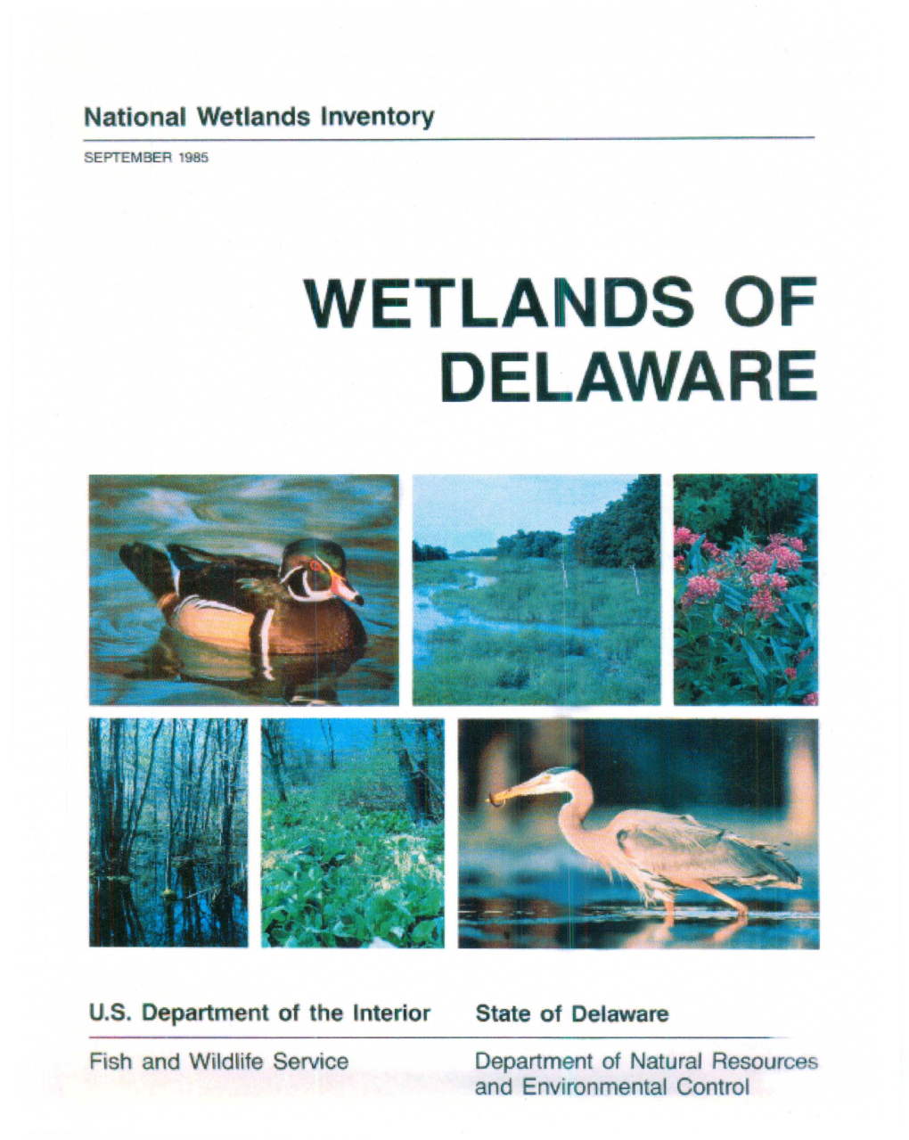 Wetlands of Delaware