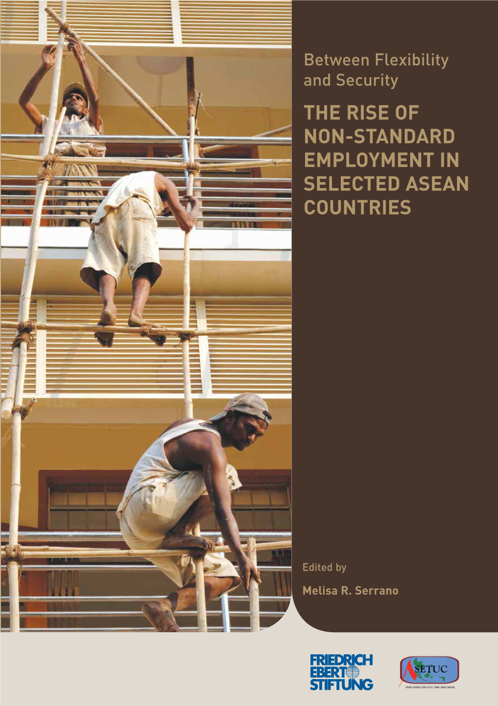 The Rise of Non-Standard Employment in Selected Asean Countries